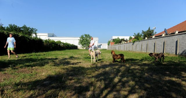 Ulaz u deo za smeštaj pasa gde se nalaze boksovi i ispust.